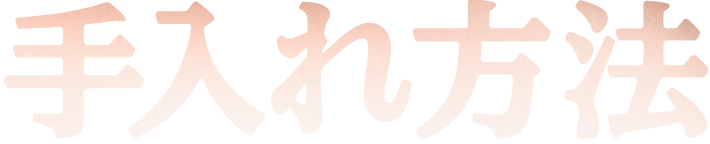 手入れ