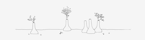 vases
