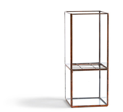Hydro Terrarium - Medium