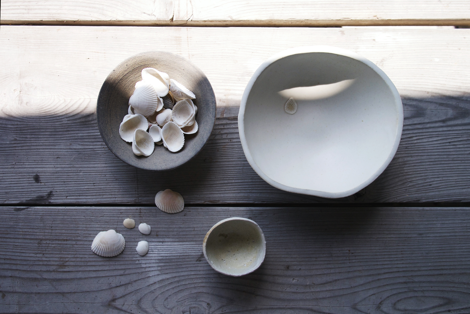 Keisuke Iwata's dish filled with seashells collected and a ceramic piece with seashell beside it