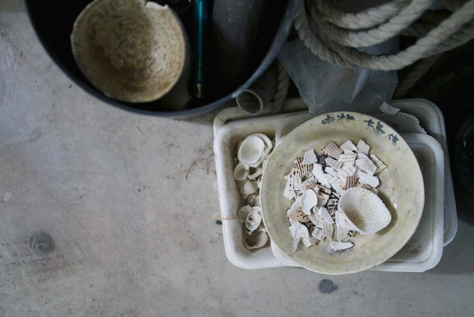 Shards of sea shells collected lying in stacks trays at Keisuke Iwat's ceramic studio