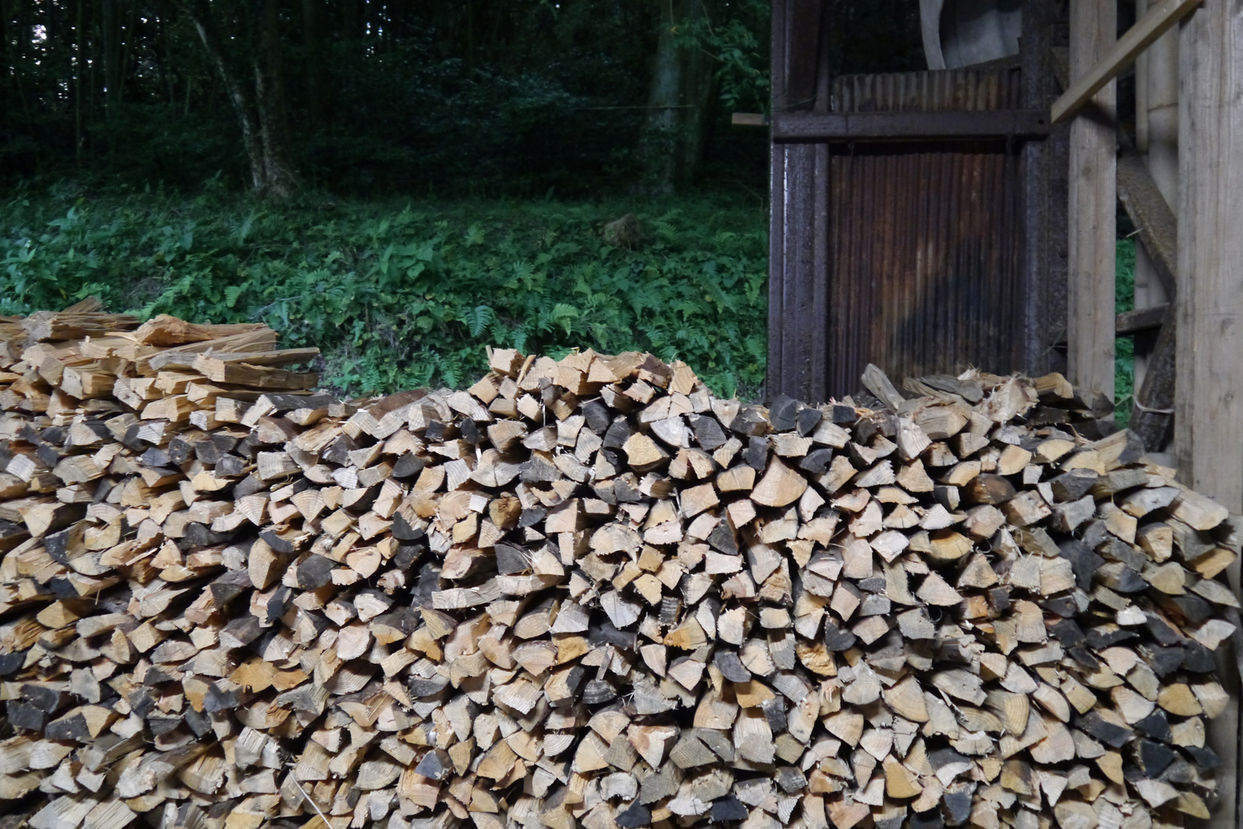 Pine wood logs against lush green trees and brown shed at the anagama kiln