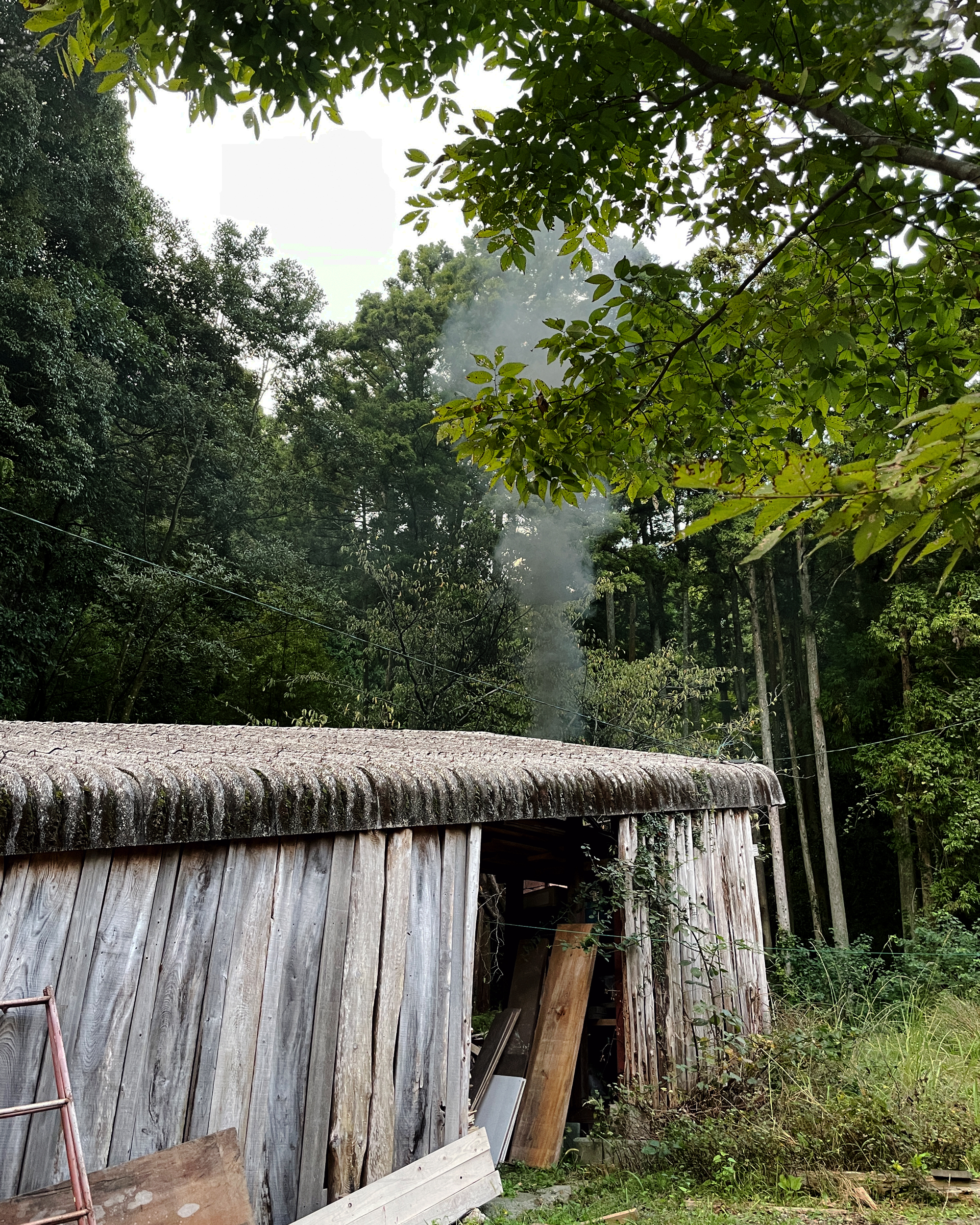 Anagama kiln shed on a slope against lush green trees