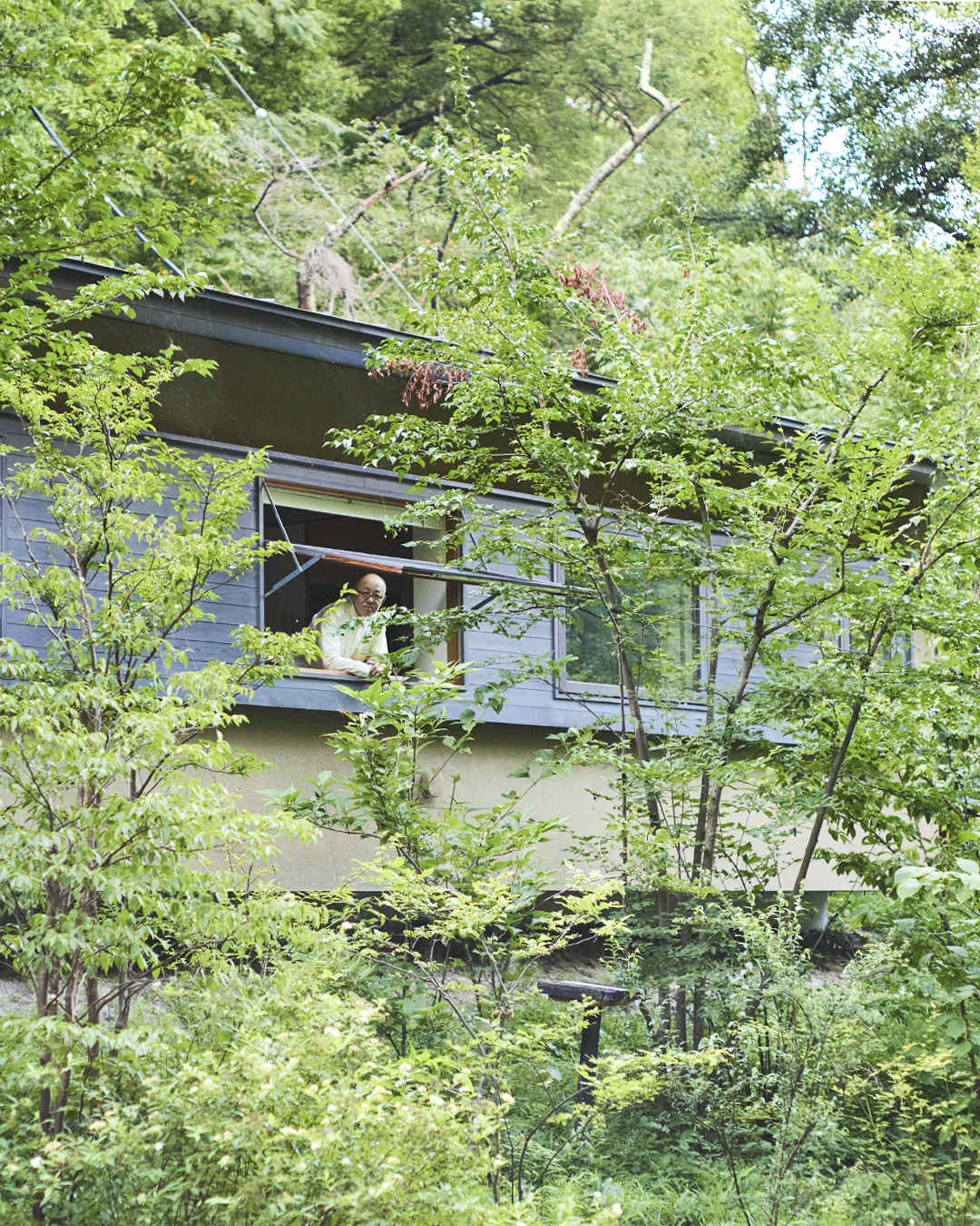 A wideview of a house in the midst of trees and greenery with Ryuji Mitani at an open windowsill staring out.