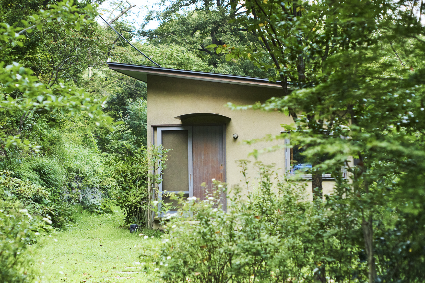 Ryuji Mitani's house peaking out behind foliage and trees